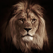 TheLeader - steam id 76561198930975711