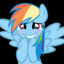 ZXC_RAINBOW_DASH