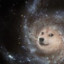 Galaxy Doge