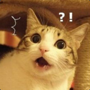 油炸大白菜Cabbage