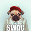 SwagDog MD