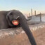 Elephantae Davis