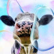 MOO MOOOO