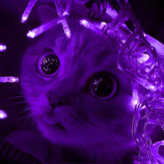 Purp4L Steam avatar
