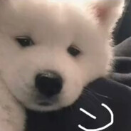 将我们写成故事