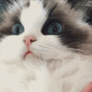 张波波波波波波波波波