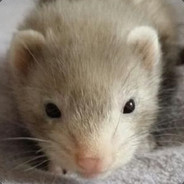 Trawn - steam id 76561197971093813