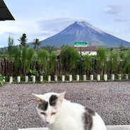 大清第一老烟枪