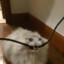 .Max