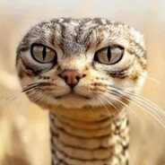 pakell - steam id 76561198853658126