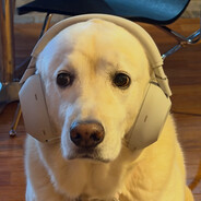 𝙋𝙤𝙧𝙞𝙣𝙜