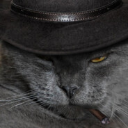 YERAY | discord.gg/ligarias