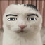t4bucc0