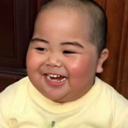 呆呆呆呆呆呆呆呆猪啊