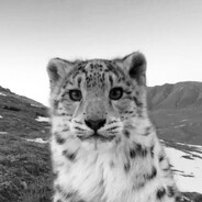 Avatar snapshot