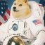 Astronaut Doge