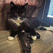 headshot_deagle::.cTpaHHuk Steam avatar