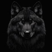 WOLF - steam id 76561199681604941