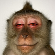 twix666 - steam id 76561199577218610