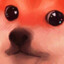 Da Doge