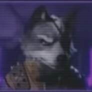 Evan de Wolf's avatar