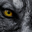 [WS]Timberwolf