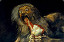 ZealorD