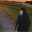 Pensive_Penguin_Aficionado_55