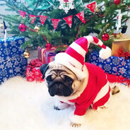 RUB4IK - steam id 76561199487372273