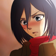 Mikasa ツ