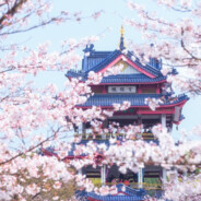 我是柠檬满是心酸