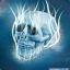 Phazon Skull