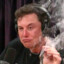 Elon Weedlon