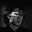 Wittmann-