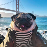 Mops
