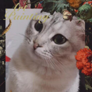 小洋一定会变白