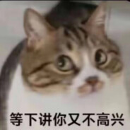 猫猫头酋长