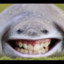 ElPacoDondre