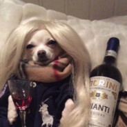 dzouuli - steam id 76561198337107679