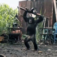 Хуй с префа