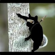 Sneaky Squirrel