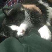 最好的我们在曾经