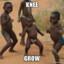 KNEE GROWS