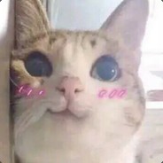 谁的猪蹄热的发烫