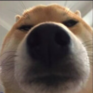 你我山边自相逢