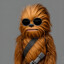 oChewbacca