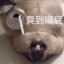 逆