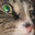 Pingüino avatar