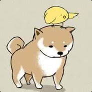 微风吹不走我的故事