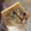 WaffleCat